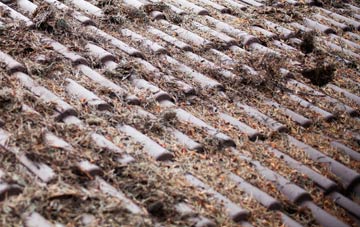 Lepton roof cleaning companies