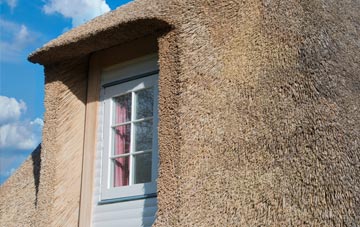 Lepton thatch roof disadvantages